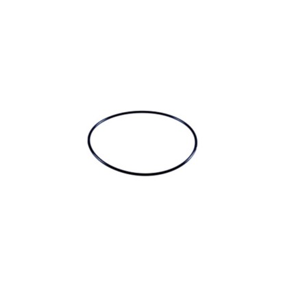 216255.jpg O-RING COD. 216255