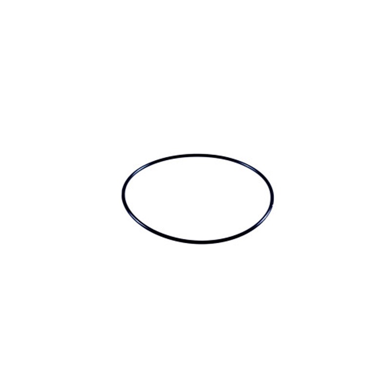 216255.jpg O-RING COD. 216255