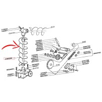 320950250.jpg COCLEA COD. 320950250