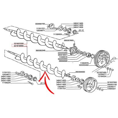 321818050.jpg COCLEA COD. 321818050