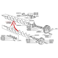 321837250.jpg COCLEA COD. 321837250