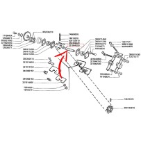 321844350.jpg ALBERO COD. 321844350