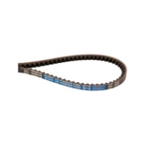 XPA1632.jpg CINGHIA DENTATA COD. XPA1632