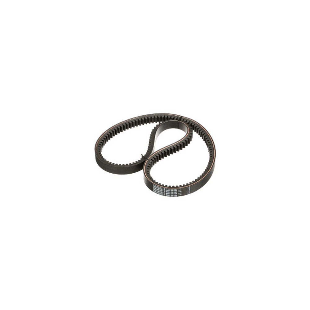 84817627.jpg CINGHIA COD. 84817627 84817627.jpg CINGHIA COD. 84817627