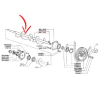 300117453.jpg COCLEA COD. 300117453