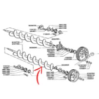 322865850.jpg COCLEA COD. 322865850