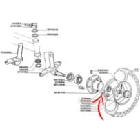 350354220.jpg RONDELLA ELASTI. COD. 350354220