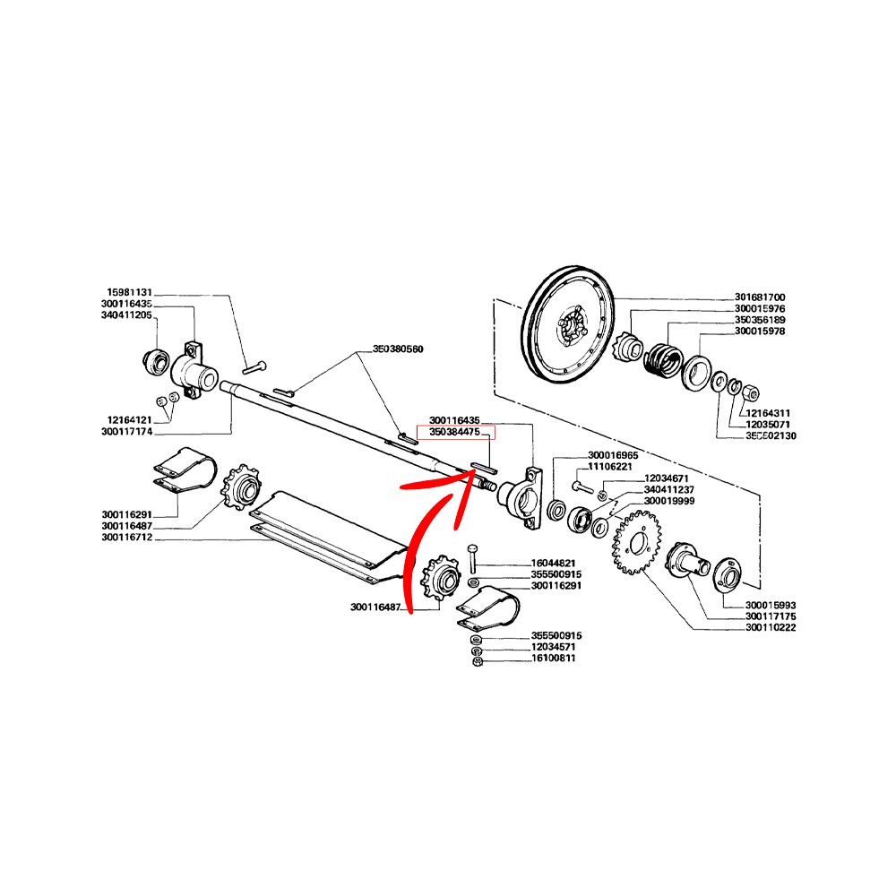 350384475.jpg LINGUETTA COD. 350384475