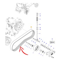 ACX2420620.jpg CINGHIA COD. ACX2420620