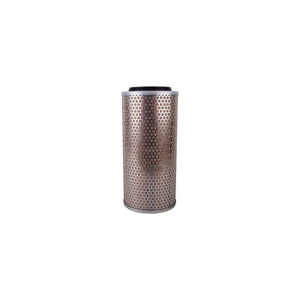 0006766001.jpg Filtro aria