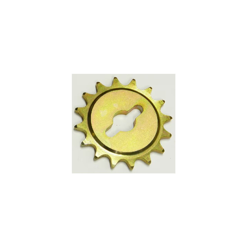 10120004N.jpg PIGNONE Z 16 COD. 10120004N