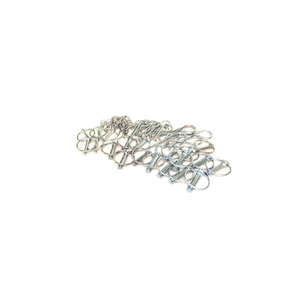 s.13447.jpg ASSORTIGLIAMENO COPPIGLIE & SPINE A SCATTO 50PZ COD. S.13447