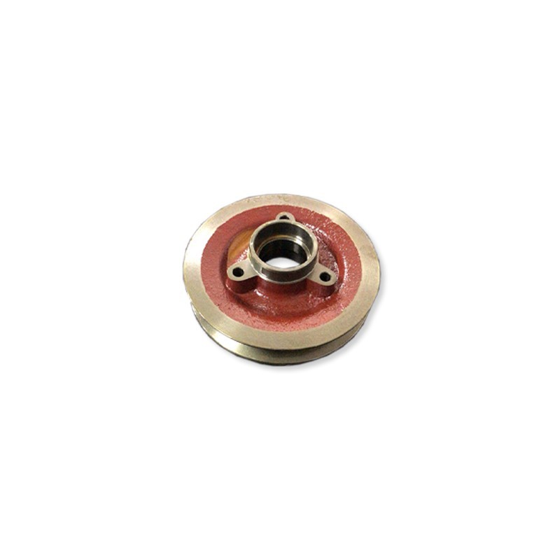 300015581.jpg PULEGGIA COD. 300015581 300015581.jpg PULEGGIA COD. 300015581