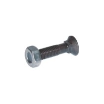 1025109VK.jpg VITE PER ARATRO QUADRANGOLARE M10X25 10,9 COD. 1025109VK
