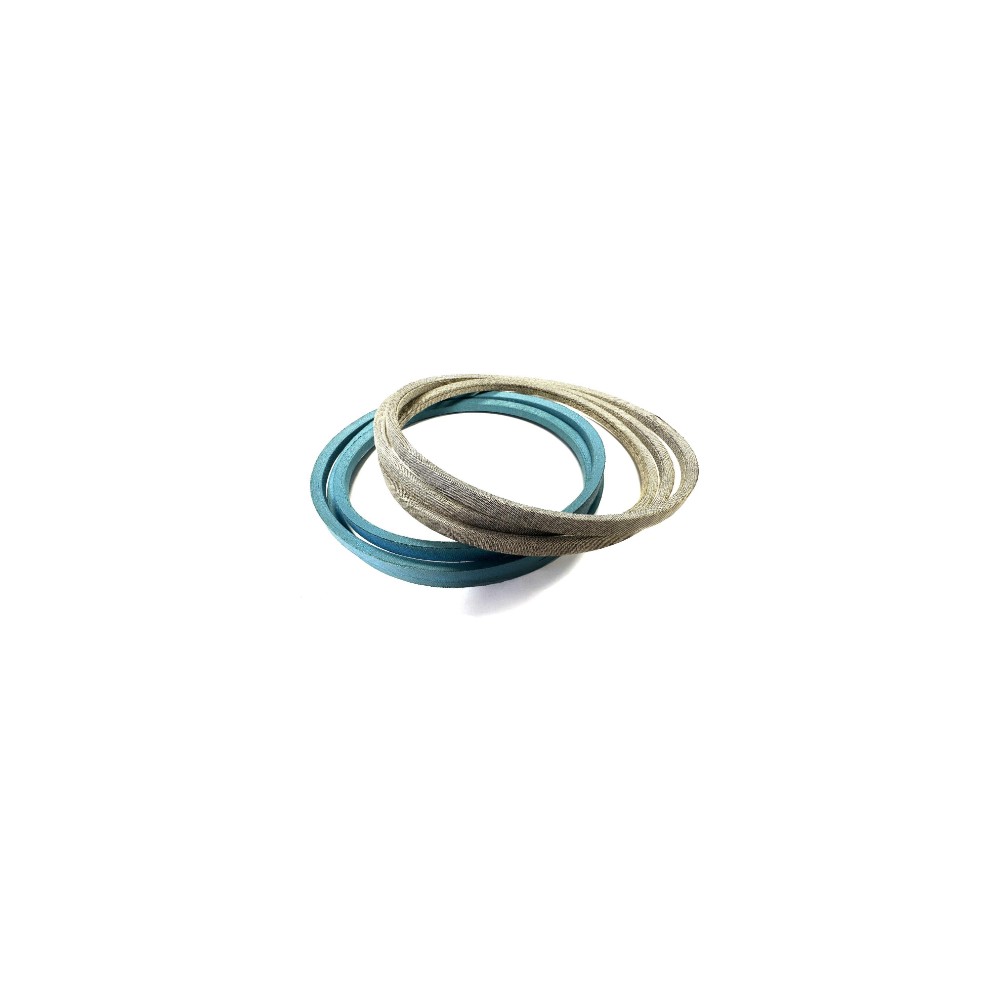 0003600091.jpg SERIE CINGHIE COD. 0003600091