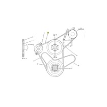 0003617870.jpg SERIE CINGHIE COD. 0003617870