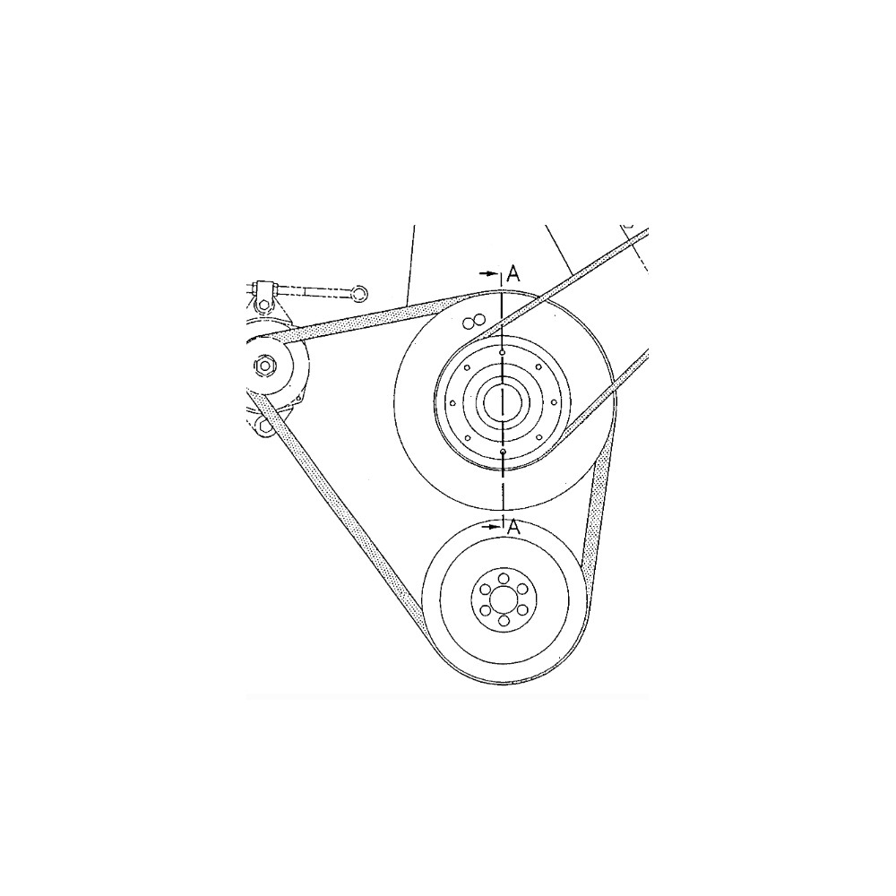 0003651191.jpg SERIE CINGHIE COD. 0003651191