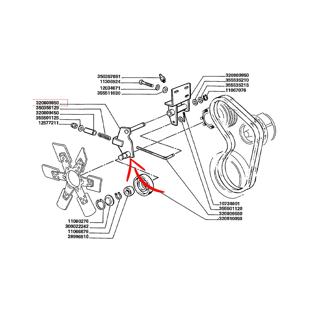 320809850.jpg BRACCIO COD. 320809850