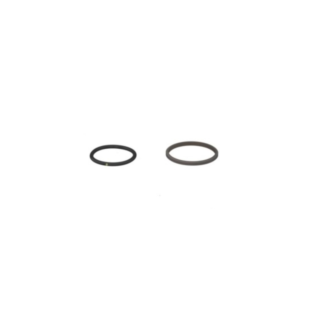 0002120291.jpg GUARNIZIONE PISTONE COD. 0002120291