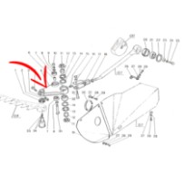 300117637.jpg SQUADRA COD. 300117637