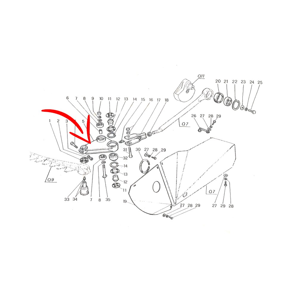 300117637.jpg SQUADRA COD. 300117637