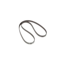 V685061725.jpg CINGHIA COD. V685061725