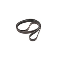 7700066735.jpg CINGHIA COD. 7700066735