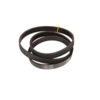 ACW0365950.jpg CINGHIA COD. ACW0365950