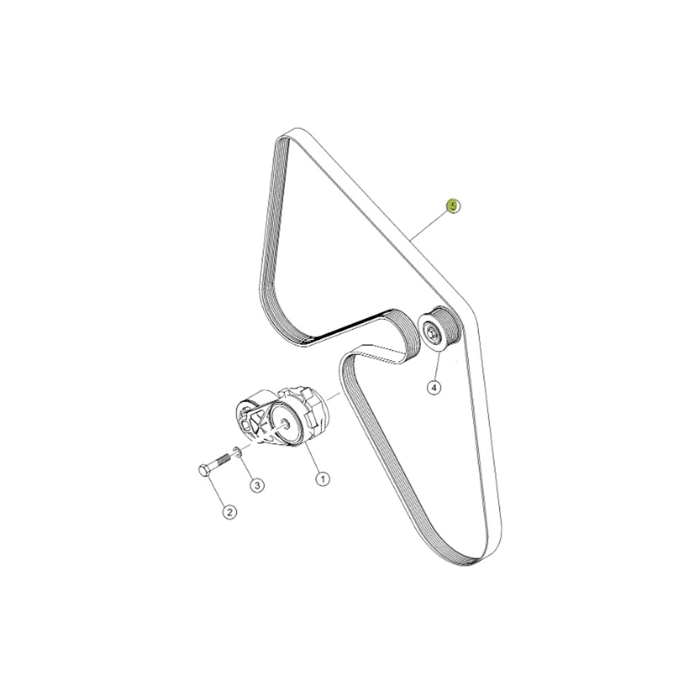 0019870980.jpg CINGHIA COD. 0019870980