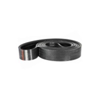 84817631.jpg CINGHIA COD. 84817631