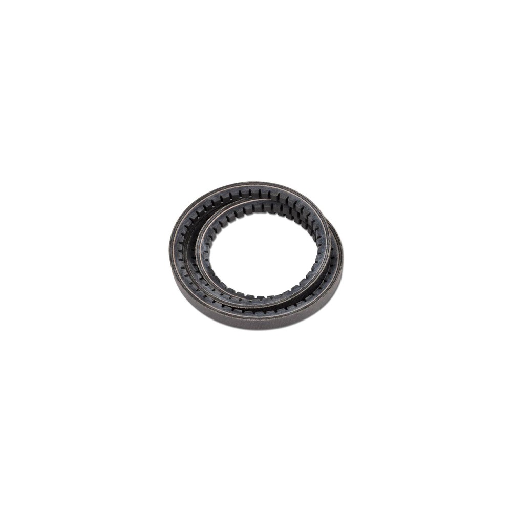 XPB1550.jpg CINGHIA COD. XPB1550