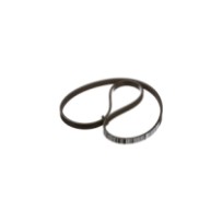 87300105.jpg CINGHIA COD. 87300105