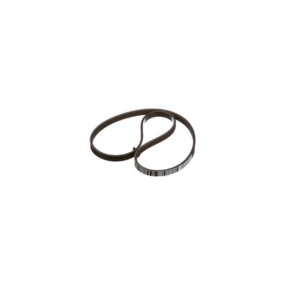 87300105.jpg CINGHIA COD. 87300105