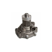 99454833_cnh.jpg POMPA ACQUA COD. 99454833