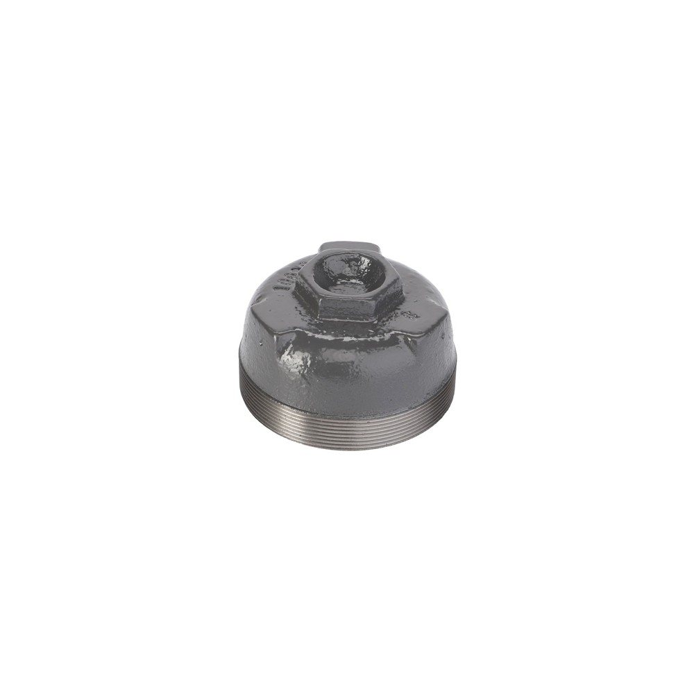 300015269.jpg COPERCHIO PROTEZ COD. 300015269