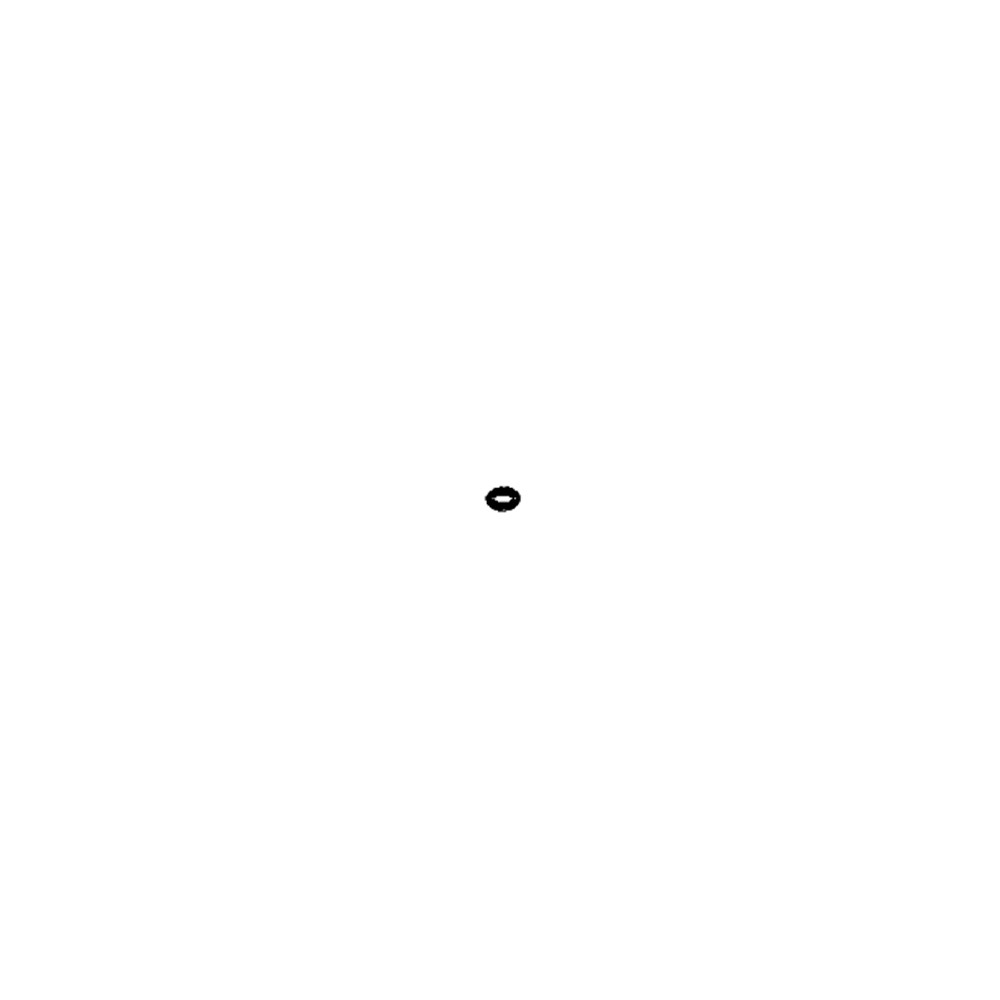 0002163660.jpg O-RING COD. 0002163660