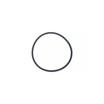 0002176950.jpg O-RING COD. 0002176950