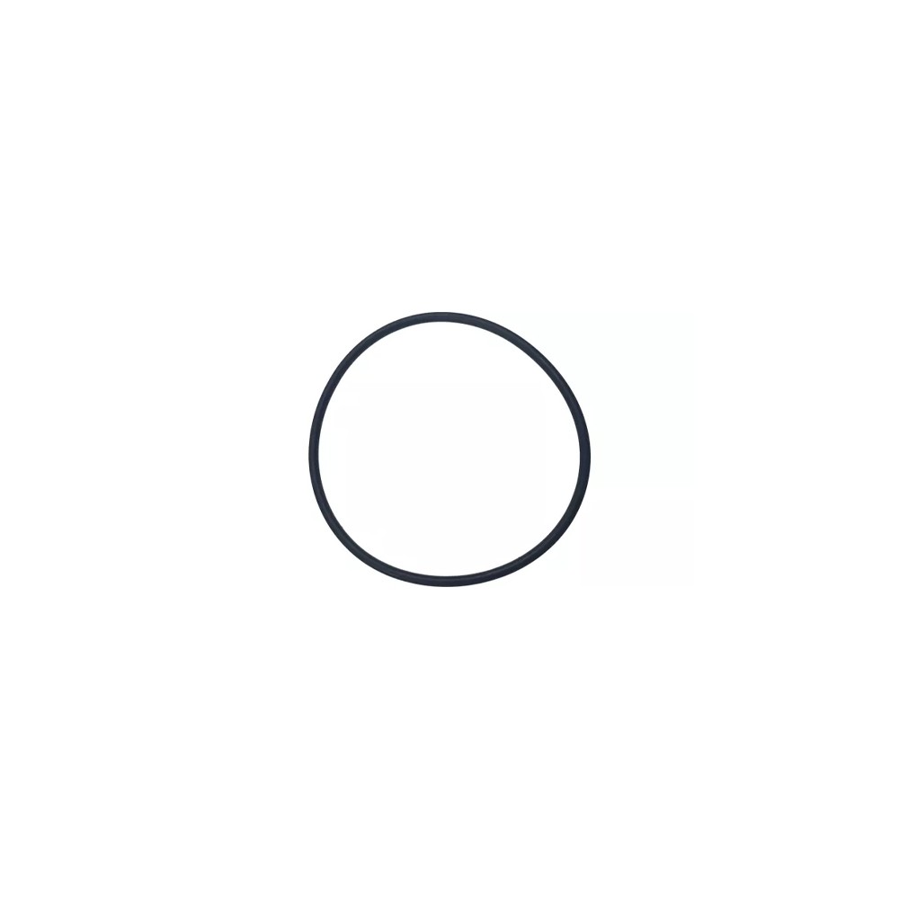 0002176950.jpg O-RING COD. 0002176950
