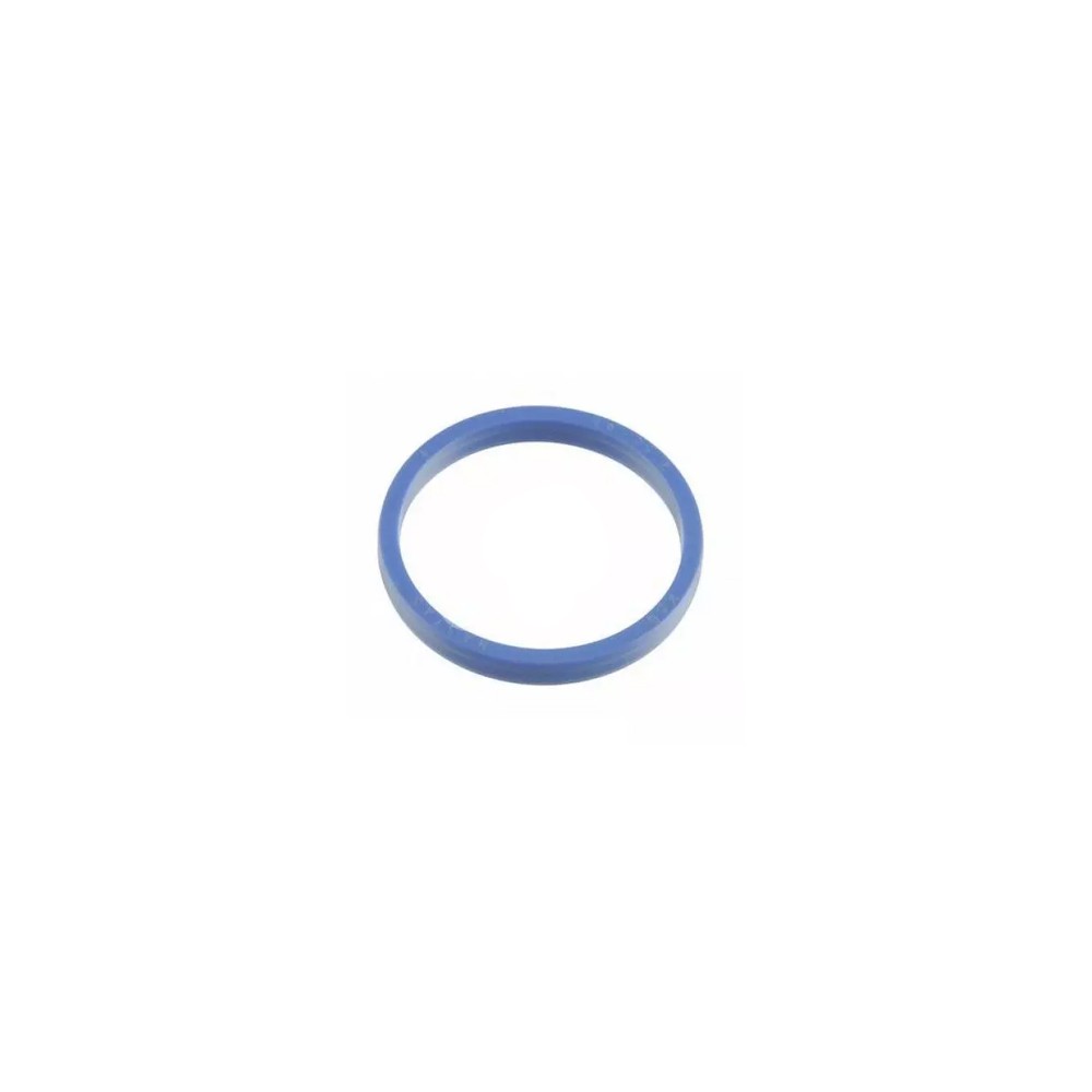 0002181160.jpg GUARNIZIONE COD. 0002181160