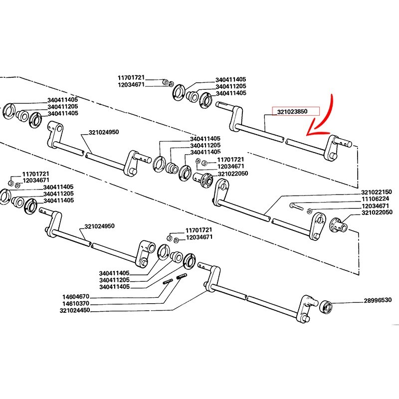 321023850.jpg ALBERO COD. 321023850