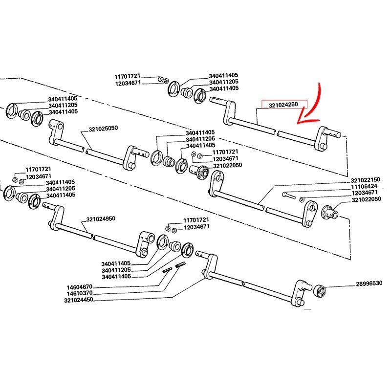 321024250.jpg ALBERO COD. 321024250
