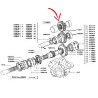 5129564.jpg INGRANAGGIO CONDUTTORE COD. 5129564