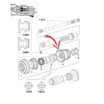 5183599.jpg INGRANAGGIO CONDUTTORE COD. 5183599
