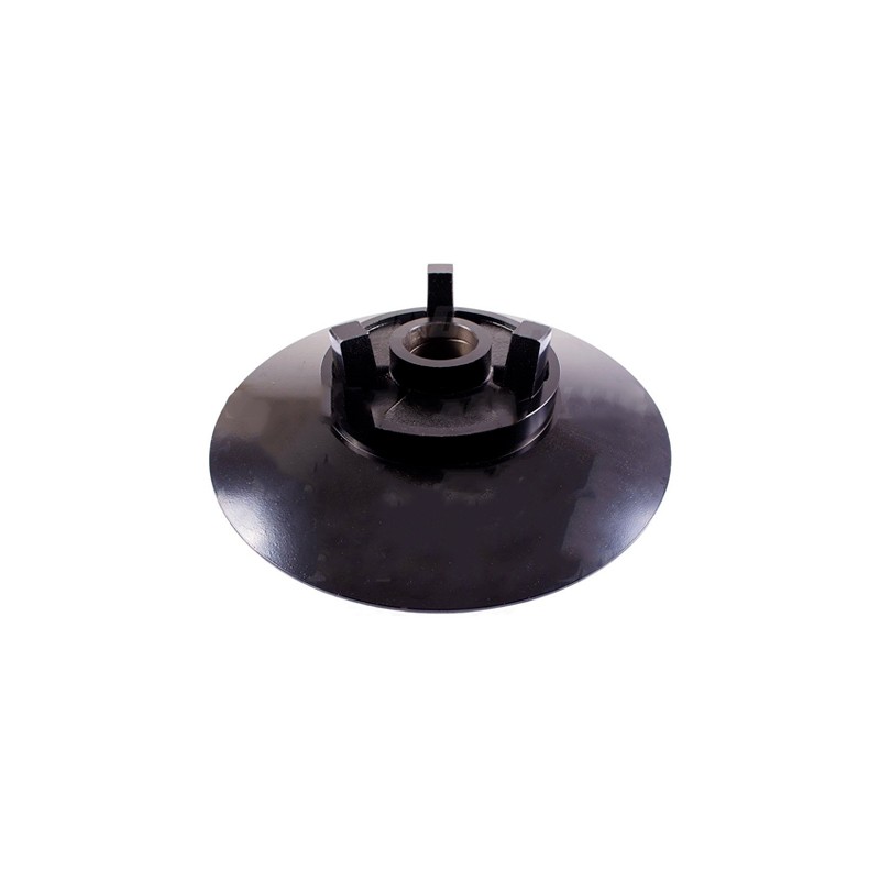 439597.jpg DISCO VARIATORE BATTITORE COD. 439597 439597.jpg DISCO VARIATORE BATTITORE COD. 439597
