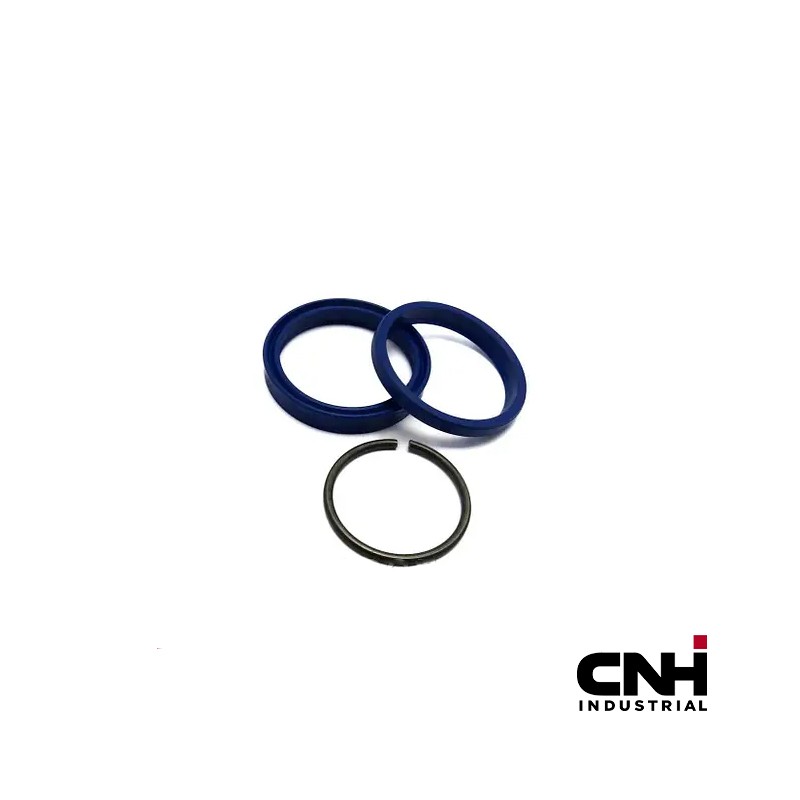 84806580_CNH.jpg SERIE GUARNIZIONI SOLLEVAMENTO BARRA COD. 84806580 84806580_CNH.jpg SERIE GUARNIZIONI SOLLEVAMENTO BARRA COD. 84806580