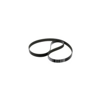 243373A1.jpg CINGHIA COD. 243373A1