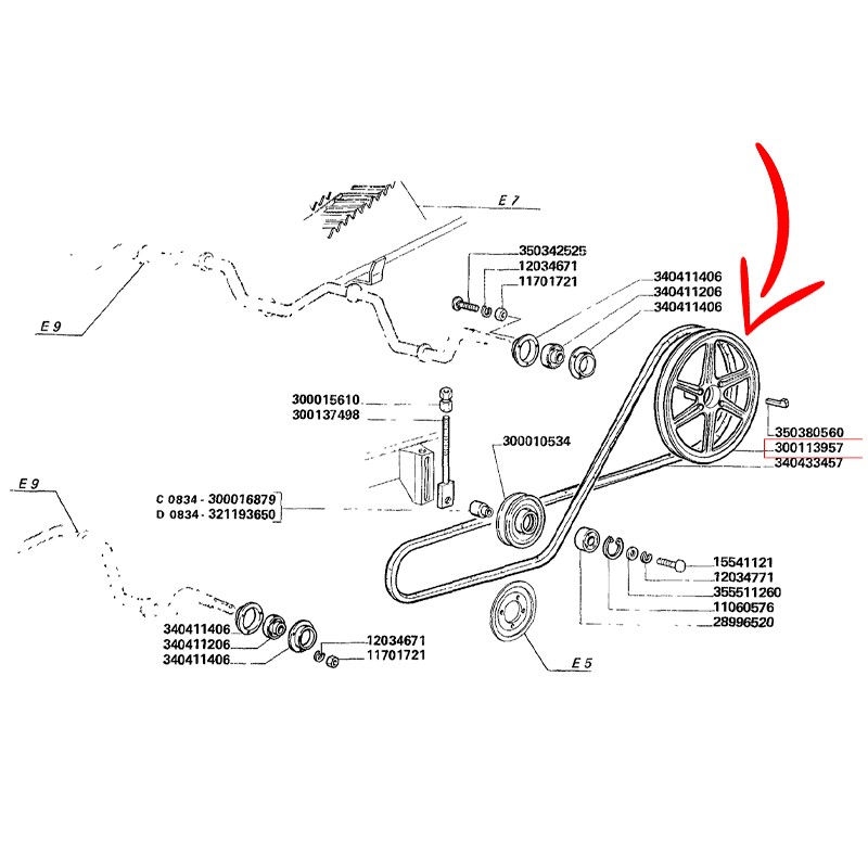 300113957.jpg PULEGGIA COD. 300113957