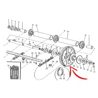 300130177.jpg PULEGGIA COD. 300130177
