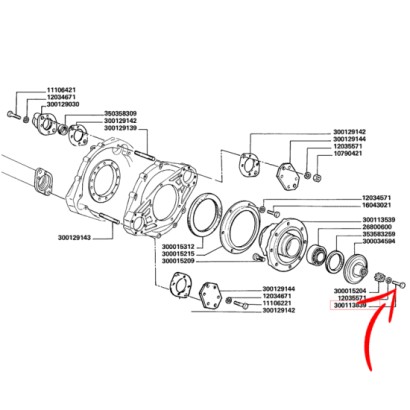 300113839_c.jpg VITE COD. 300113839