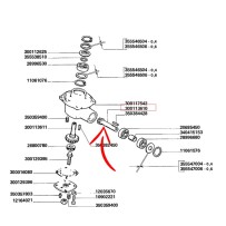 300113610.jpg PIGNONE ORIGINAL REFERENCE COD. 300113610